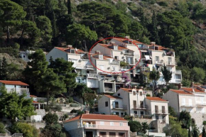 Отель Apartments with WiFi Dubrovnik - 4730  Дубровник